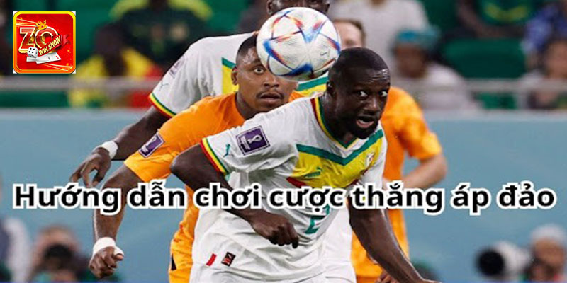 Bỏ túi kinh nghiệm soi kèo cược thắng áp đảo dễ thắng