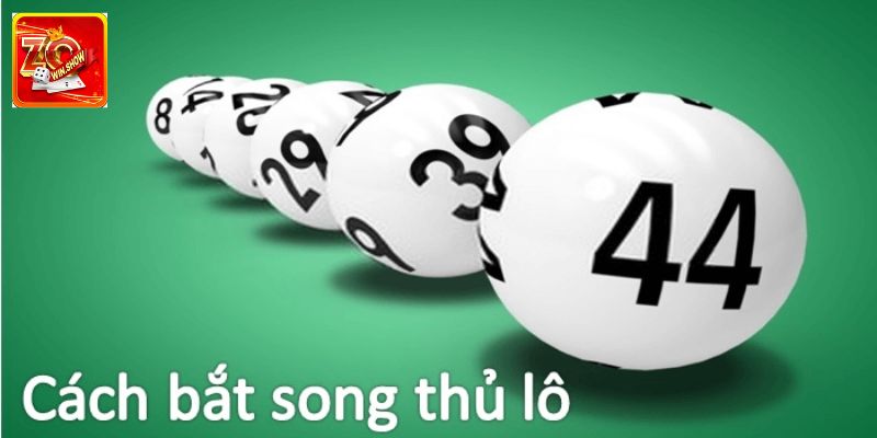 Tất cả cách nuôi khung song thủ lô thông dụng nhất