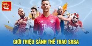 SABA Thể Thao – Chuyên Mục Hot Nhất Tại Cổng Game Zowin